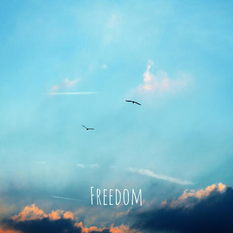 Freedom